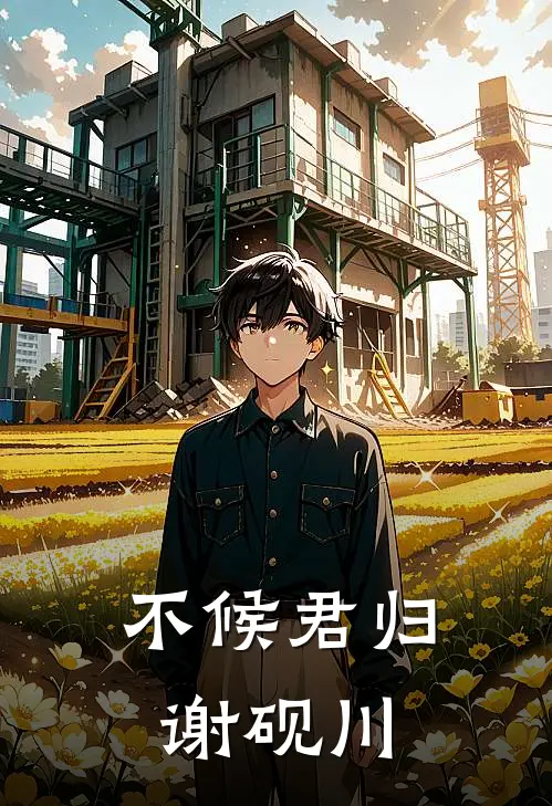 不候君归谢砚川