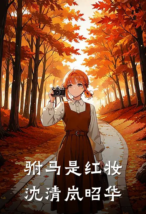 驸马是红妆沈清岚昭华